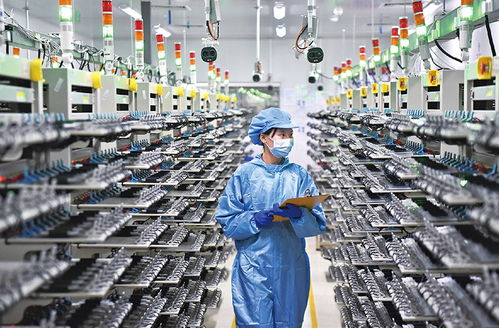 在推動中部地區崛起和長江經濟帶發展中奮勇爭先 新型金屬功能材料的機遇與挑戰